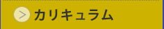カリキュラム